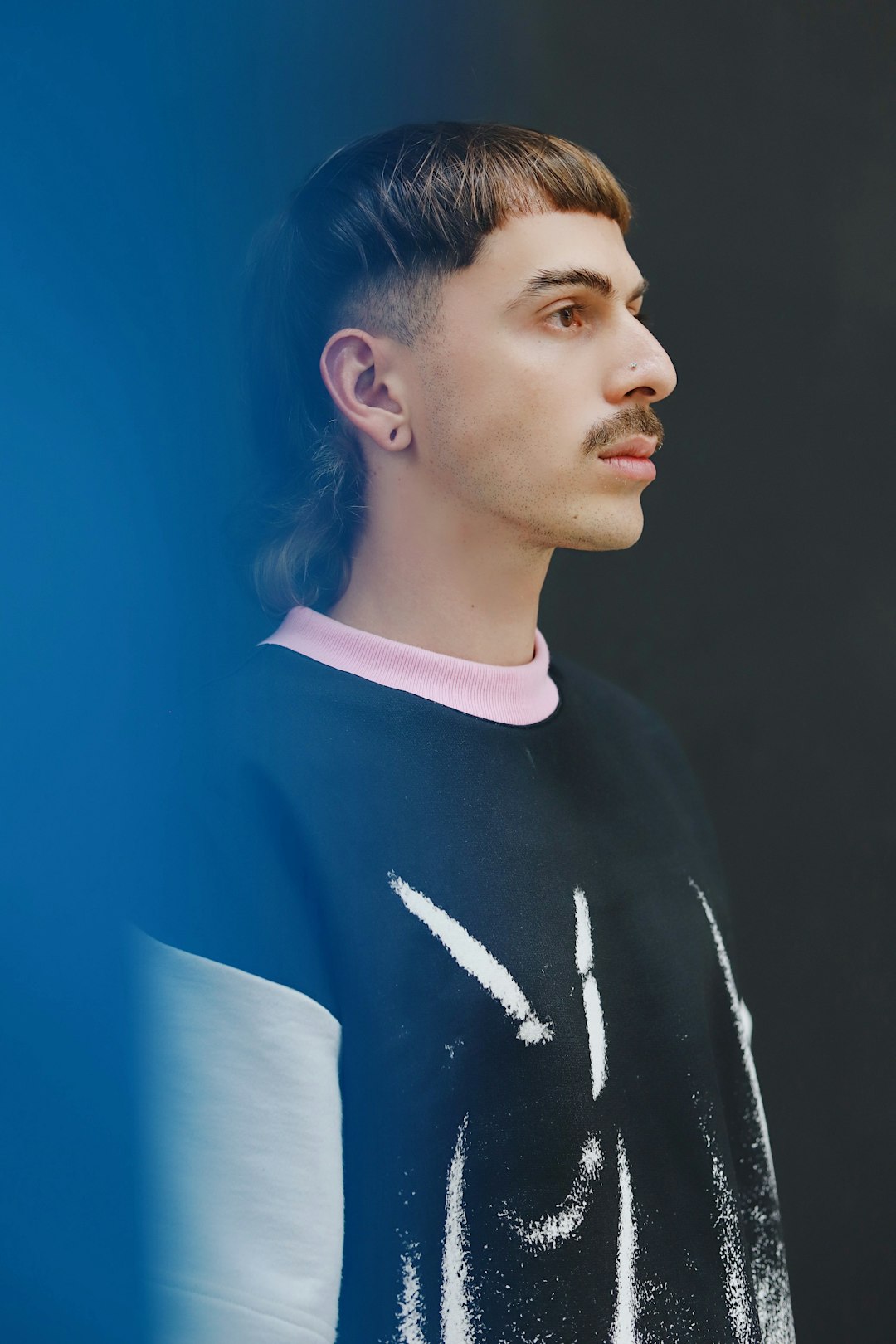 ChromaAI Interface